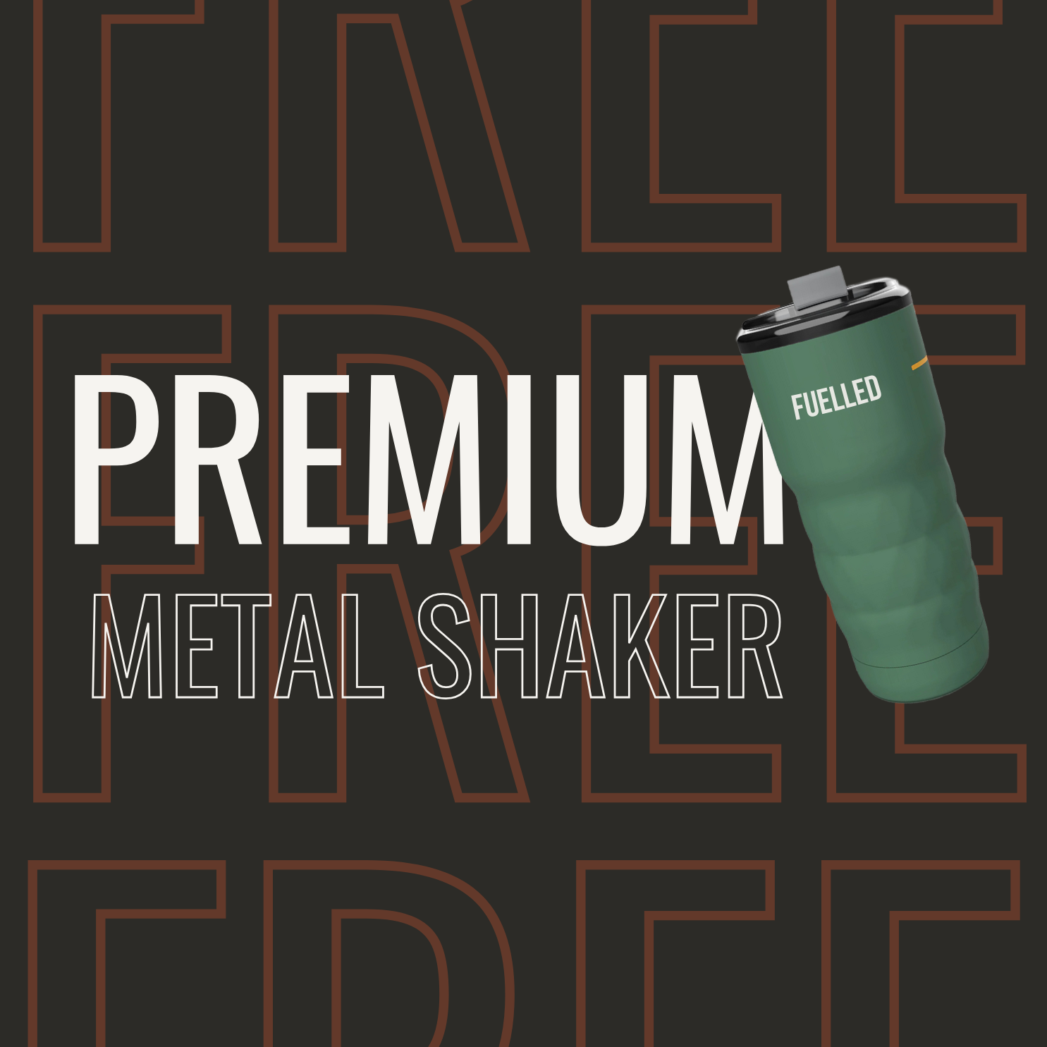 Muscle Building Bundle