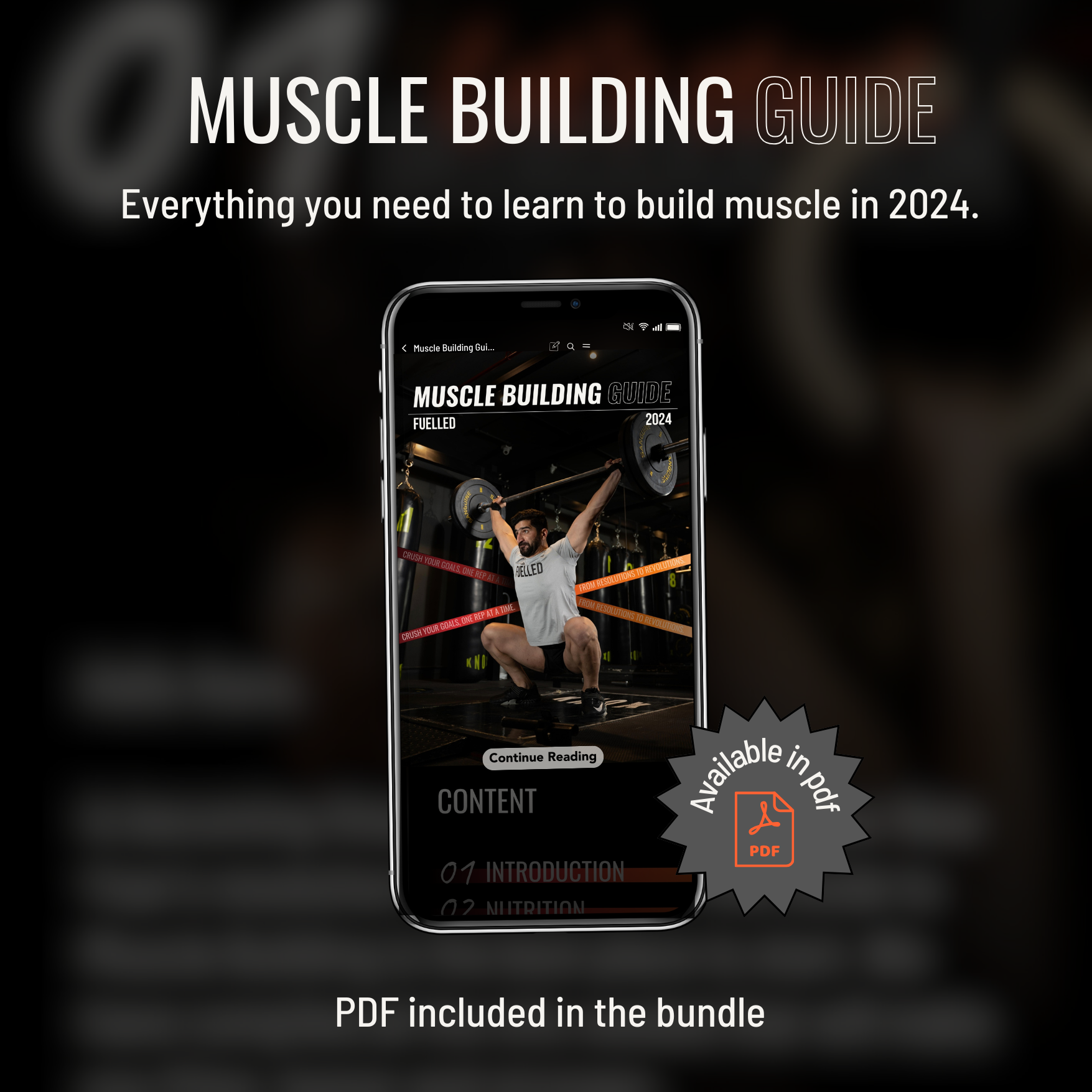 Muscle Building Bundle