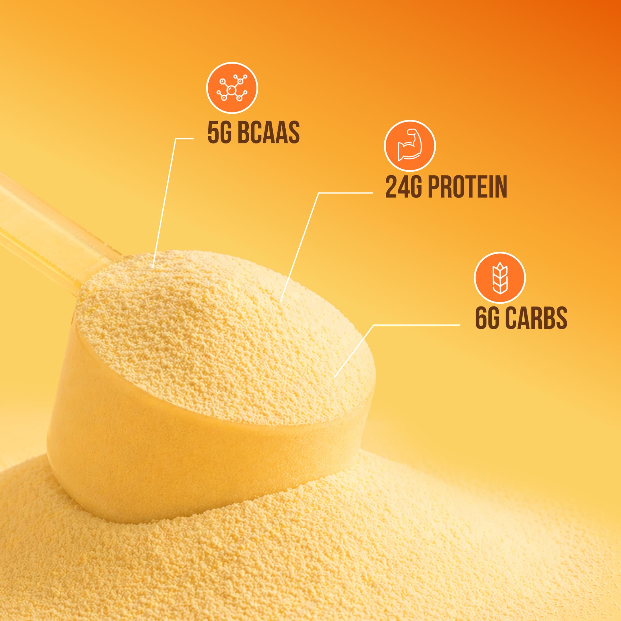 WHEY PROTEIN